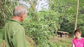Suddenly, the landowner where the girl lived appeared and shouted loudly, scaring the girl