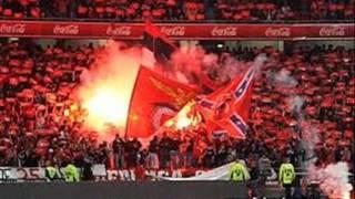 Benfica- Canticos NN Boys.wmv