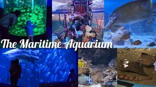 A visit to the Maritime Aquarium, Norwalk CT