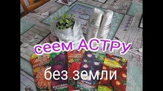 СЕЕМ АСТРУ БЕЗ ЗЕМЛИ**ДЕТИ И ЦВЕТЫ**