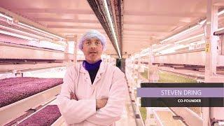 Vertical Farm 'Growing Underground' - Delicious Microgreens with Valoya LED Grow Lights