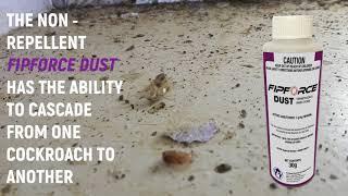 Professional pest control dust to treat termites, ants and cockroaches. #FipForce Dust