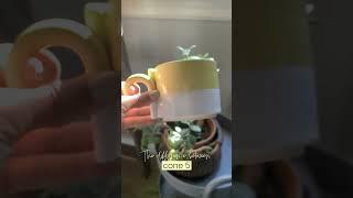 how to glaze pottery ~ cone differences ~ clay diaries