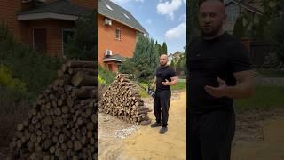 На меня написали ЗАЯВЛЕНИЕ за спиленное ДЕРЕВО