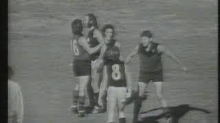 Mal Brown Beats up Carlton