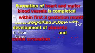 Anatomic and physiological features of heart and blood vessels in children: part 1