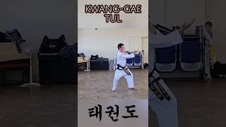 Pressing Kick - Side Piercing Kick, Kwang Gae Tul. #taekwondo #martialarts #fitness #training #sport