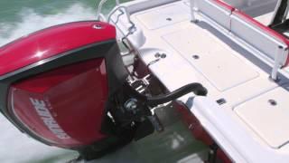 Evinrude E-TEC G2 Power Steering