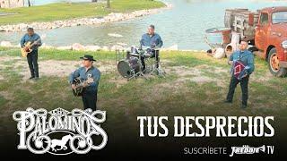 Los Palominos - Tus Desprecios (Video Oficial)