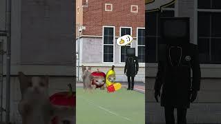 Banana Cat And Happy Cat School Day Part 13  #bananacat #catfunny #happycat #catvideos #catmemes