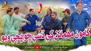 Gamoo Mehmanan Khe Disi Chho Bhaji Wayo | Asif Pahore (Gamoo) Khero | Sajjad Makhni | Mashooq Baloch