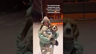 #бигль #смешныевидео #лайф #врекомендации #собакаулыбака