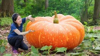 November Harvest Season - Harvest SPOOKY PUMPKIN to Sell | Ella Daily Life