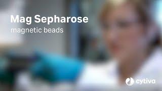 Mag Sepharose™ magnetic beads:  Overview and demo