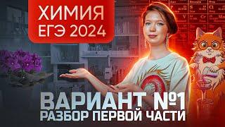 Разбор варианта №1 ЕГЭ по химии 2024 | Дацук Екатерина