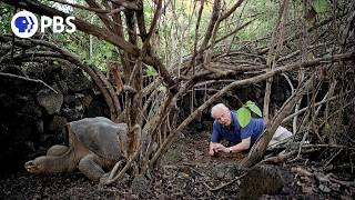 Attenborough’s Last Encounter with Lonesome George