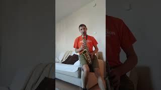 Непара"Милая"(alexs sax)