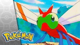Wings 'n' Things | POKÉMON FULL EPISODE 20 | Season 4