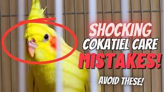 10 Wrong Tips You Should NEVER Do with Your Cockatiel