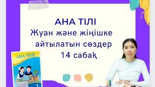 Ана тілі 14 сабақ ЖУАН ЖӘНЕ ЖІҢІШКЕ АЙТЫЛАТЫН СӨЗДЕР 1 сынып