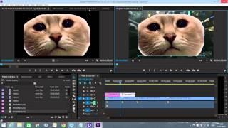 Adobe Premiere Pro CC Монтаж Для Начинающих. Экспресс Урок 2