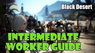 [Black Desert] Intermediate Worker Guide | Stats and Skills for Worker Empires