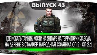 ГДЕ ИСКАТЬ ТАЙНИК КОСТИ НА ЯНТАРЕ НА ТЕРРИТОРИИ ЗАВОДА  НА ДЕРЕВЕ В СТАЛКЕР НАРОДНАЯ СОЛЯНКА