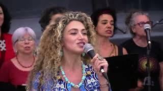 A Magnifica Orchestra de Musicas Do Mundo Missão Paz