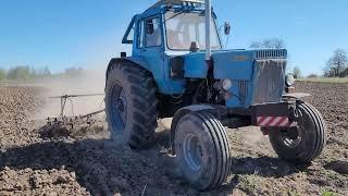 MTZ 80 Turbo spring works. Cultivating