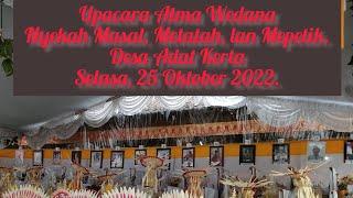 Nyekah Masal, Metatah, lan Mepetik. Desa Adat Kerta, selasa, 25/10/2022 #ceremony #balinese