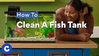 How To Clean A Fish Tank | Chewtorials