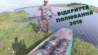 Открытие охоты на утку  2018