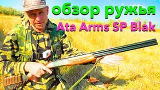 ОХОТА НА ФАЗАНА!!! Фазан наш!  Обзор ружья     Ata Arms SP Blak            на природе!