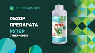 Обзор препарата Рутер