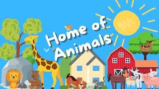 Habitat and Home of Animals | Find out where different animals live | Best toddler learning video