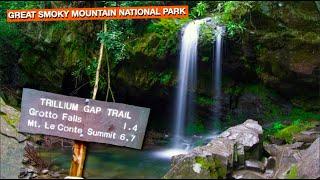 Grotto Falls: Smoky Mountain's Bucket List Waterfall Hike - 52 Hike Challenge - (15/52)