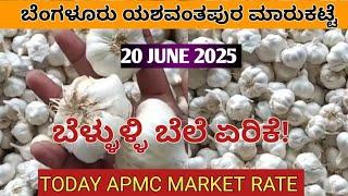 20 June 2025 Bangalore Yeshwantpur market  | today garlic rate | APMC market rate | Yeshwantpur