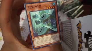 El sacrificio de alliance insight #yugioh #deckunboxing #unboxingvideo #cartas #tcg #yugiohtcg