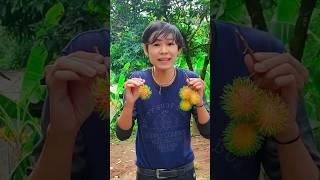 Babang tampan makan rambutan #shorts