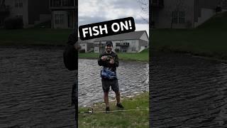 Does smallest bass of the day deserve a trophy  too?