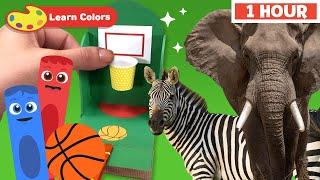 Color Crew Magic - Learn Colors for kids | Animals & Basketball Game | First University