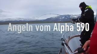 Alpha AVE 590 im Test