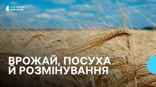 Зниження врожайності, відновлення підприємств та розмінування | Підсумки-2024