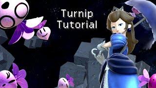 A Condensed Guide to Peach's Turnip Tech