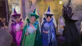 Playtime with Princess Aurora, Phillip, and Three Fairies - Disneyland After Dark: Throwback Nite