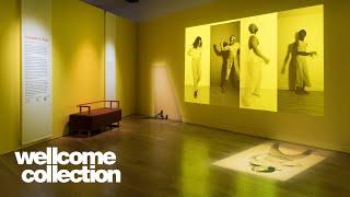 Exhibition highlights | 'Joy' curator tour | Wellcome Collection