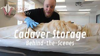 Behind-the-Scenes Look at How Human Cadavers Are Stored | Normally a Patreon Exclusive