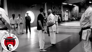 Vince Morris on the opening of kata Nijushiho