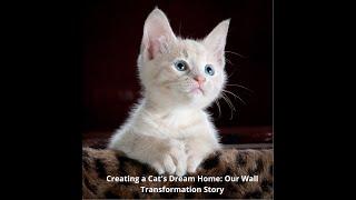 Transforming our wall into a cat house - DIY - Dream Home - Happy Cats