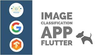 Image Classification App in Flutter | Image Recognition | Google Teachable Machine | CodeStudio